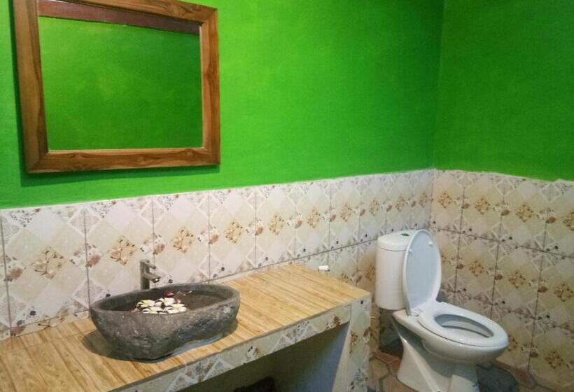 Номер Superior, Molleh Guest House
