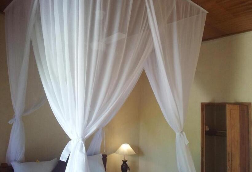 Номер Superior, Molleh Guest House