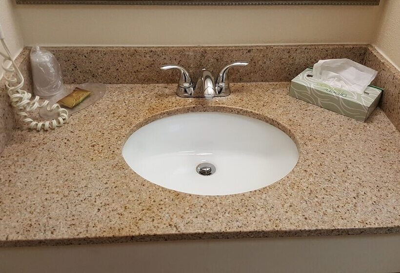 Номер Deluxe Одноместный, Airport Waterfront Inn
