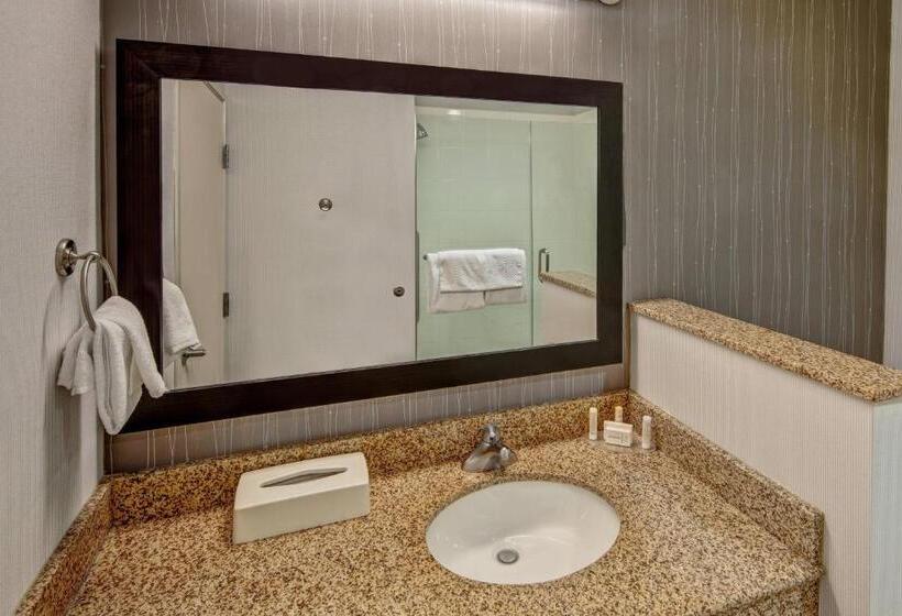 스탠다드 룸 킹사이즈 침대, Courtyard By Marriott Troy