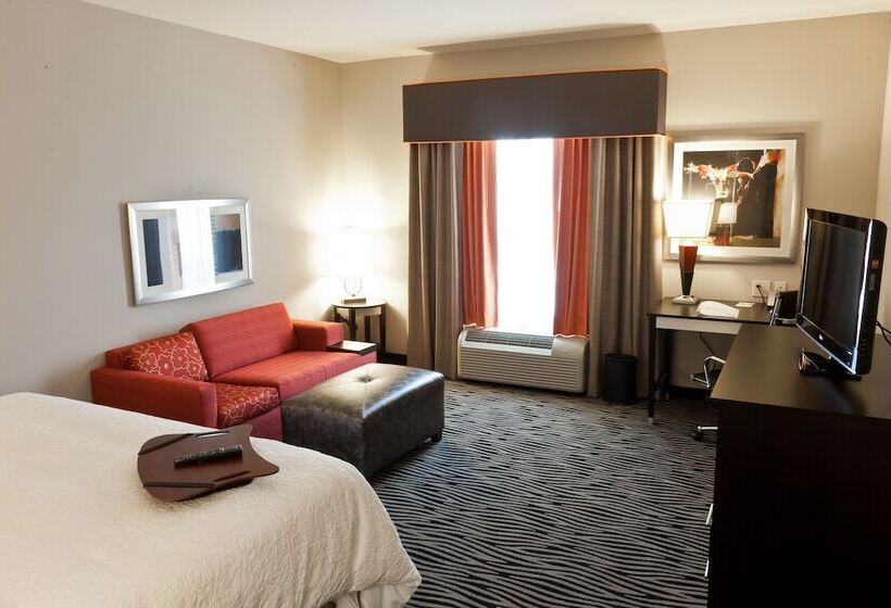 스탠다드 룸, Hampton Inn & Suites Tulsa/central