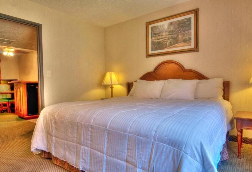 اتاق استاندارد با تخت بزرگ, Mcm Elegante Suites Abilene