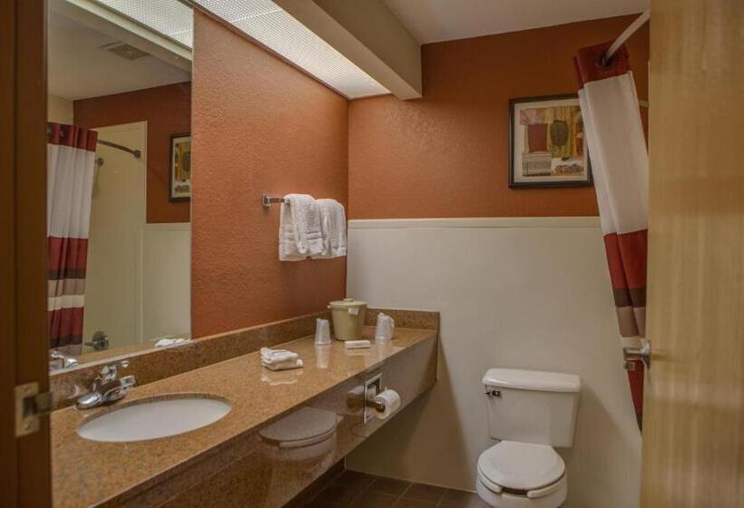 스탠다드 룸, Red Roof Inn Pharr  Mcallen