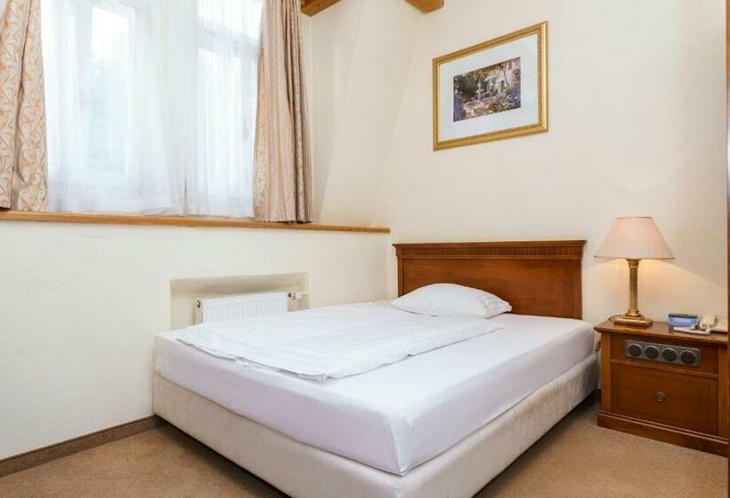 标准单人间, Spa Hotel Anglický Dvůr