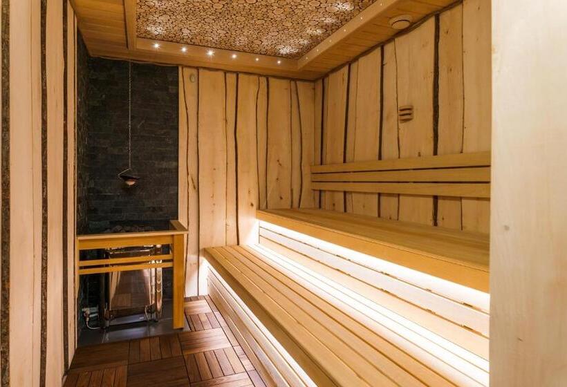 标准单人间, Spa Hotel Anglický Dvůr