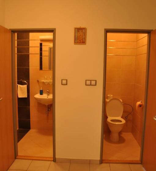 带1个卧室的公寓, Lions Plzen
