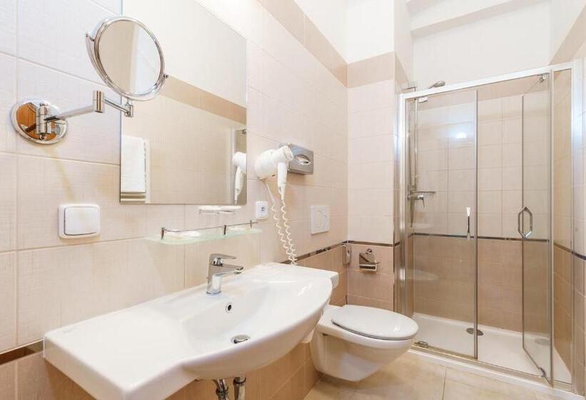 스탠다드 룸, Spa Hotel Anglický Dvůr