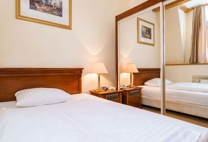 스탠다드 싱글 룸, Spa Hotel Anglický Dvůr