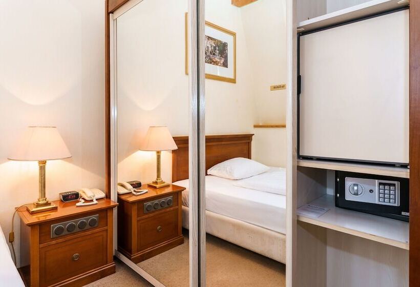스탠다드 싱글 룸, Spa Hotel Anglický Dvůr
