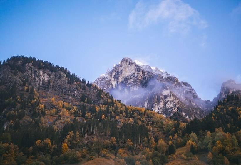Номер Комфорт, Feuerstein Nature Family Resort