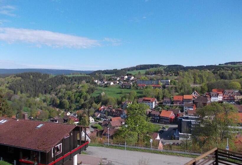 Номер Стандарт, Berghotel Glockenberg