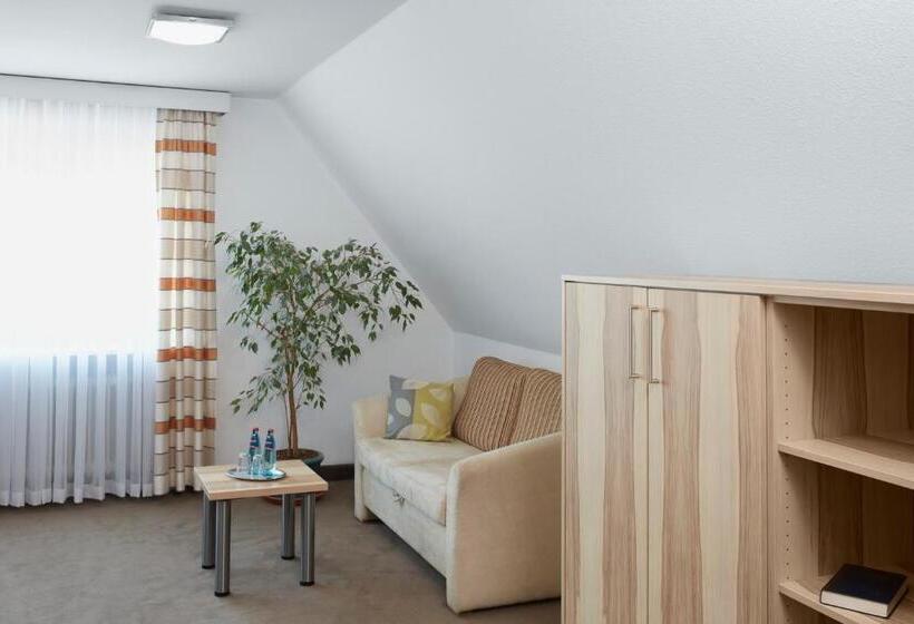 스탠다드 룸, Stadt Tuttlingen