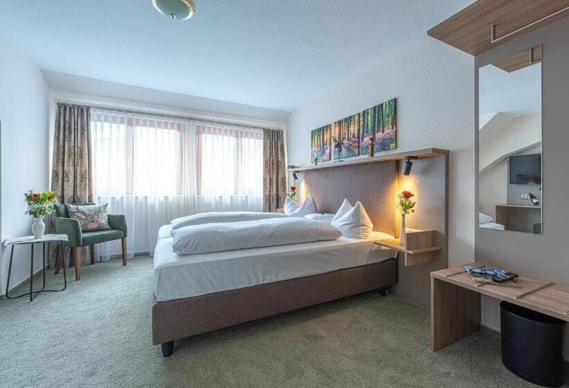 Номер Стандарт, Landhotel Salmen