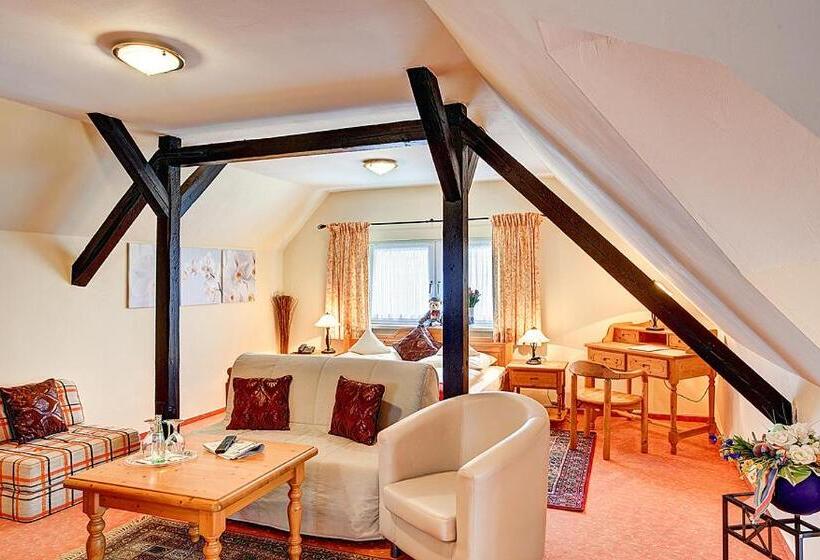コンフォートルーム, Stadthotel Detmold
