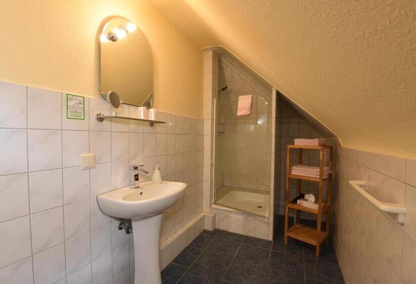 חדר סטנדרט, Pension Villa Gisela