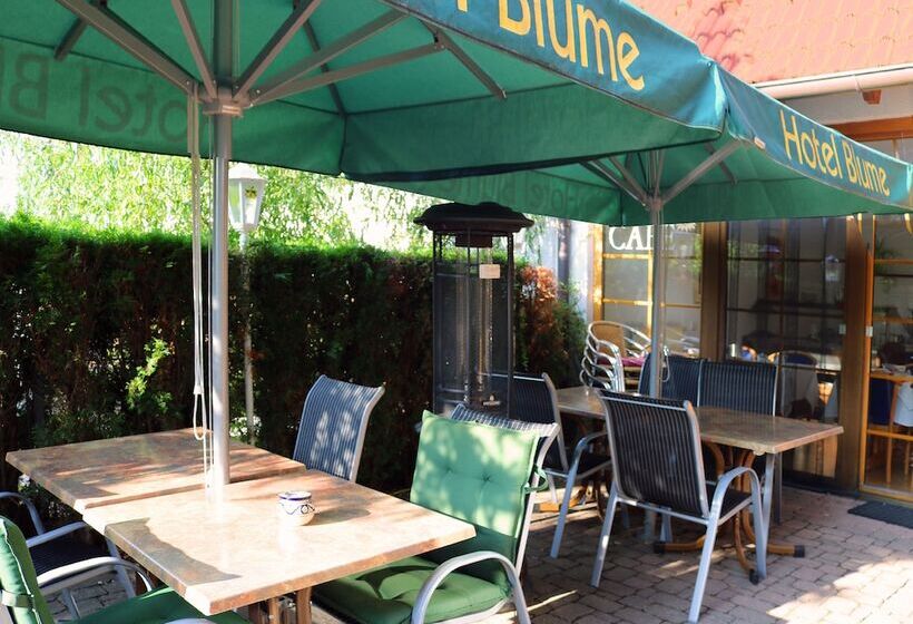 Номер Стандарт, Blume