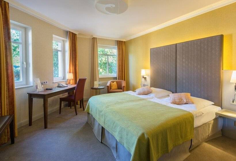 스탠다드 룸, Parkhotel Güldene Berge
