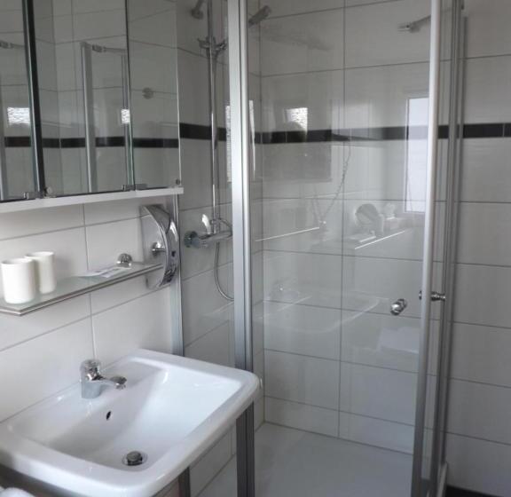 Номер Стандарт, Pension Winzerhaus Haas Lenz Zell Mosel