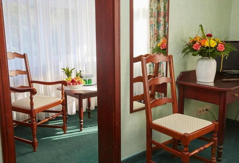 豪华房间, Flair Hotel Waldfrieden