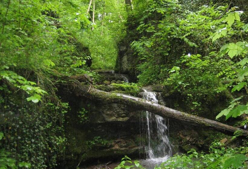 스탠다드 룸, Krone Stühlingen   Das Tor Zum Südschwarzwald