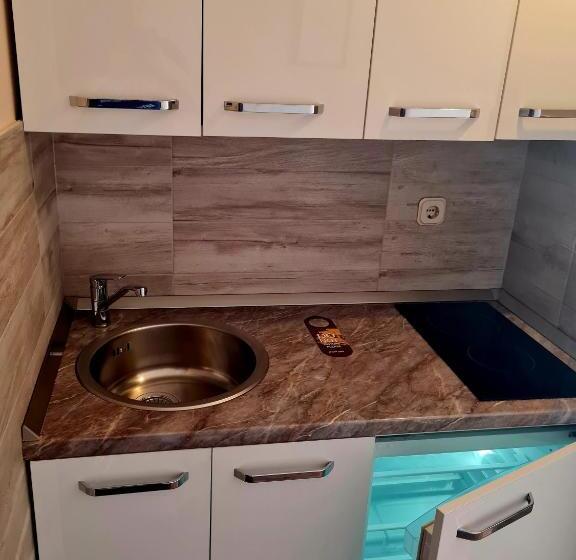 إستوديو قياسى مطل على البحر, Beach Villa Bozikovic