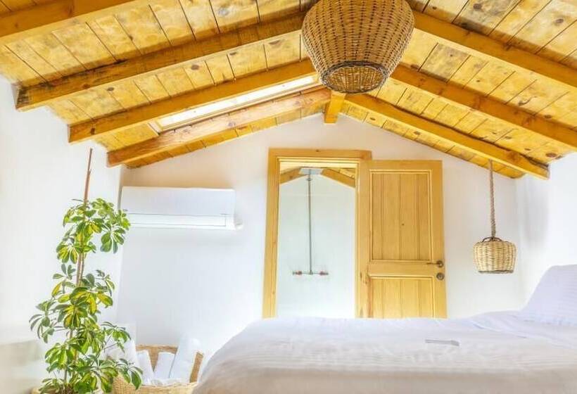 Quarto Estandar, Bo Alacati