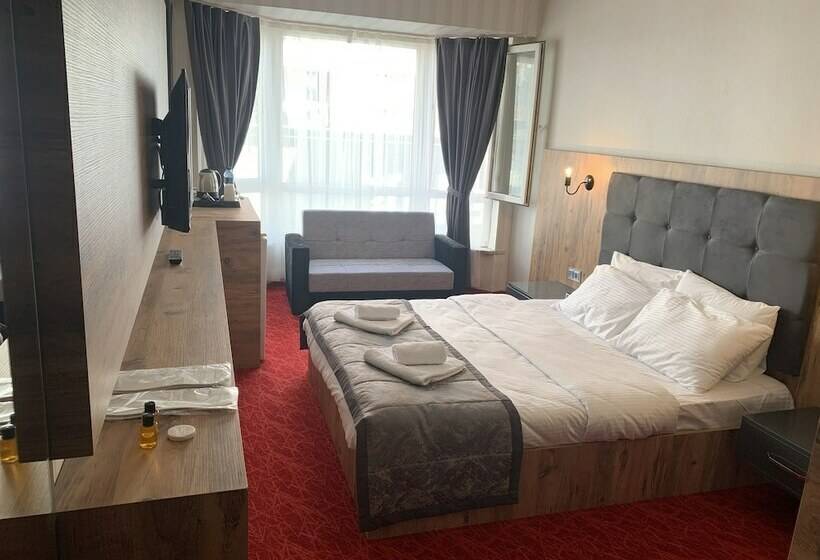 기본룸, Adanaz Otel