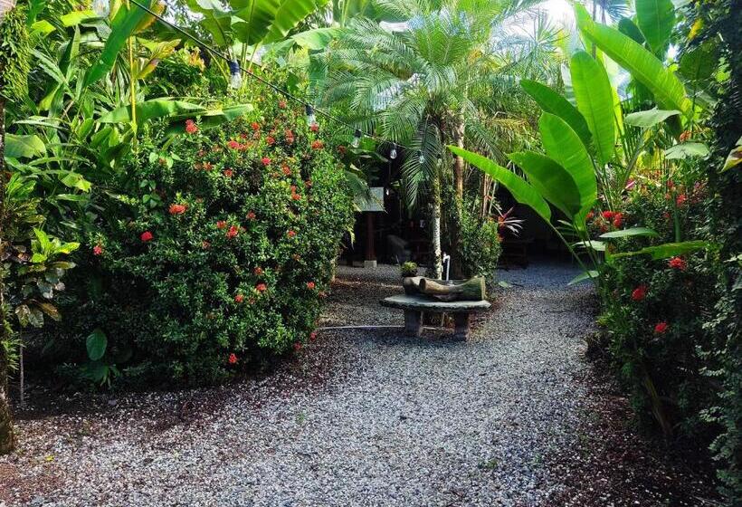 Номер Стандарт, Cabinas Tropicales