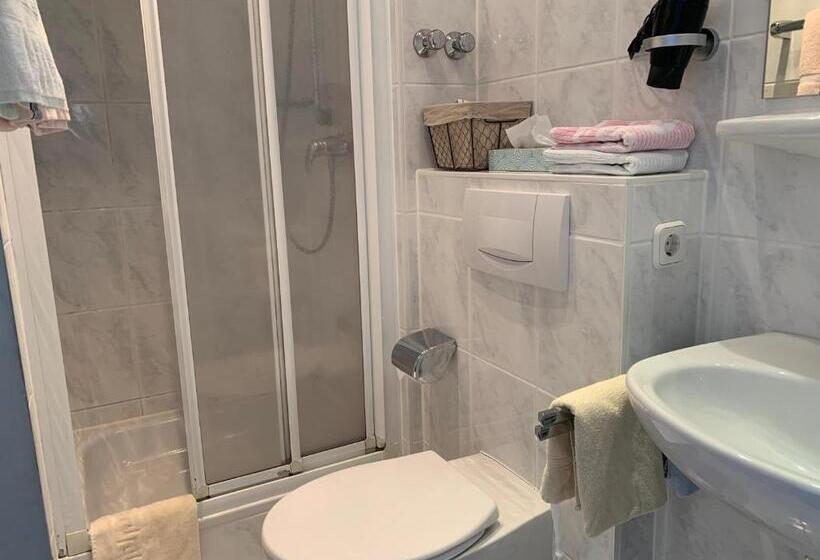 Номер Стандарт, Pension Wittgensteiner Schweiz