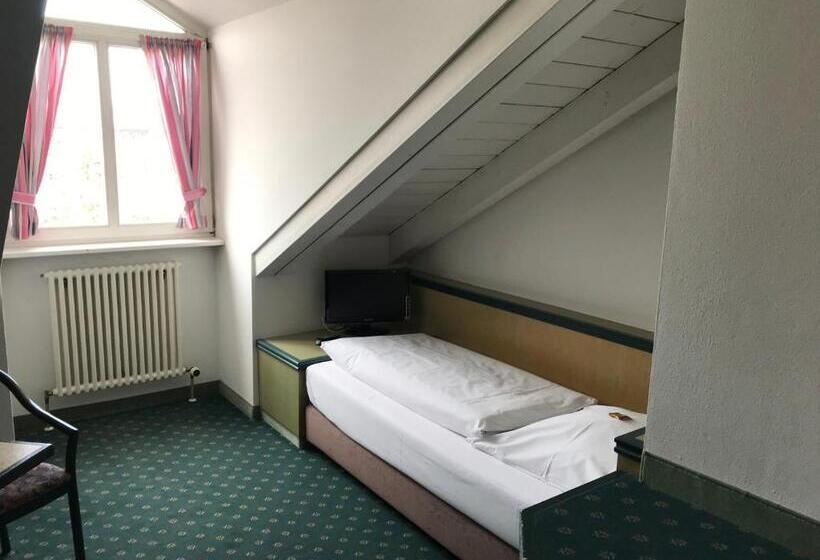 Номер Стандарт Индивидуальный, Stadthotel Berggeist