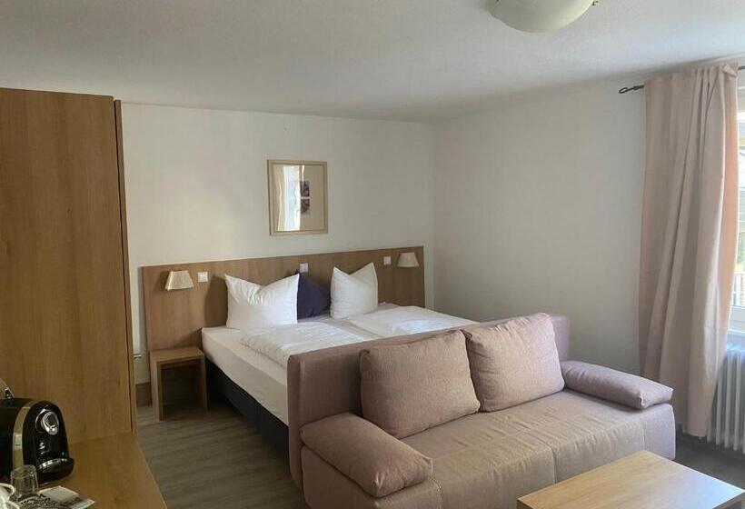 스탠다드 룸, Bodenseehotel Krone Und Historisches Aparthotel Gästehaus Des Hotel Krone