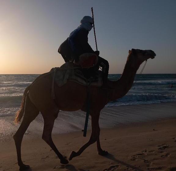 اتاق استاندارد, Transit