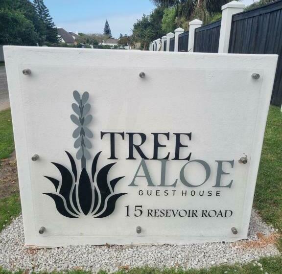 Номер Стандарт, Tree Aloe Guest House