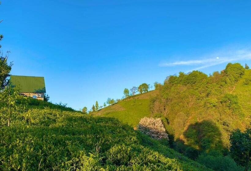 بانگلوی لوکس, Luxury Bungalow With Barbecue1