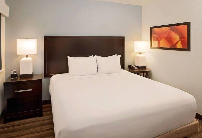 ２ベッドスイートルーム, Hyatt House Dallas Addison