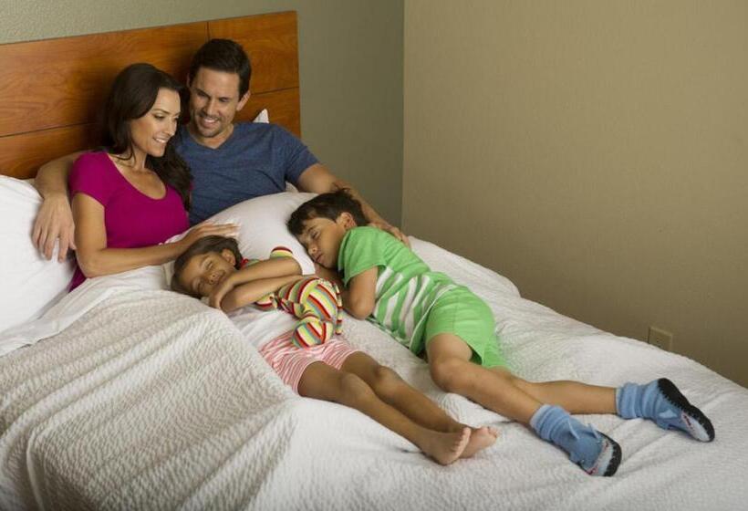 חדר סטודיו סטנדרד, Woodspring Suites Houston I45 Airtex