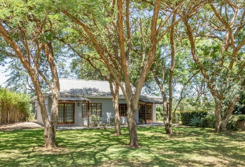 스탠다드 룸 킹사이즈 침대, Hopefield Guesthouse Addo