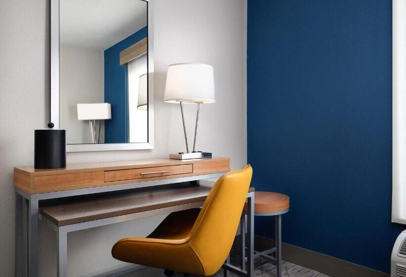 Quarto Estandar Cama King, Holiday Inn Express And Suites New Orleans Airport, An Ihg
