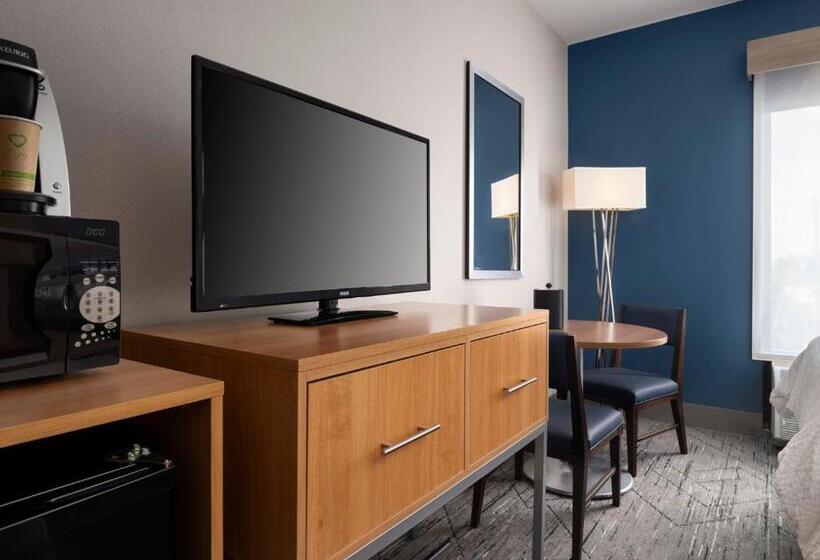 Quarto Estandar para Deficientes Físicos, Holiday Inn Express And Suites New Orleans Airport, An Ihg