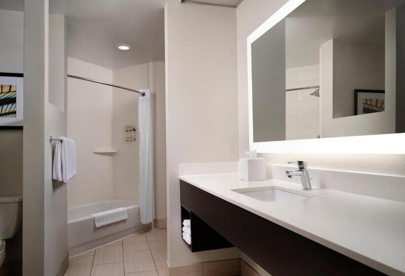 Estúdio standard Cama King, Holiday Inn Express And Suites New Orleans Airport, An Ihg