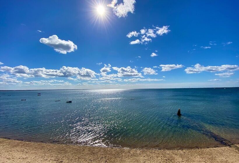 带2个双人床的标准工作室, Surfside Hotel And Suites