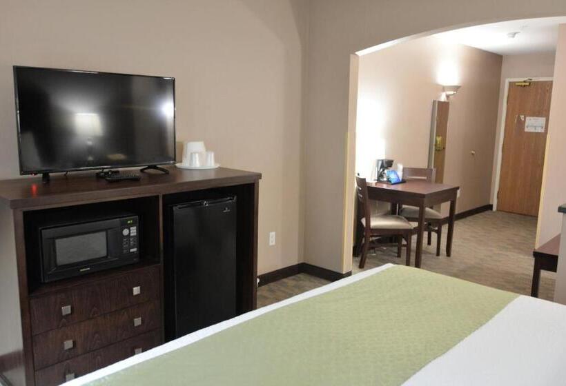Номер Стандарт Кровать Кинг Адаптированный для Инвалидов, Fairbridge Inn & Suites Dupont