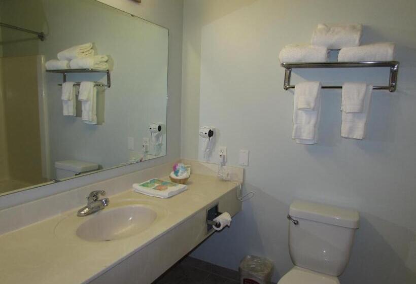 Номер Executive, Fairbridge Inn & Suites Dupont