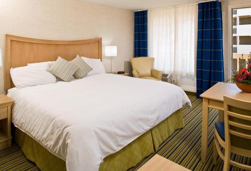 带大床的标准间, Surfside Hotel And Suites