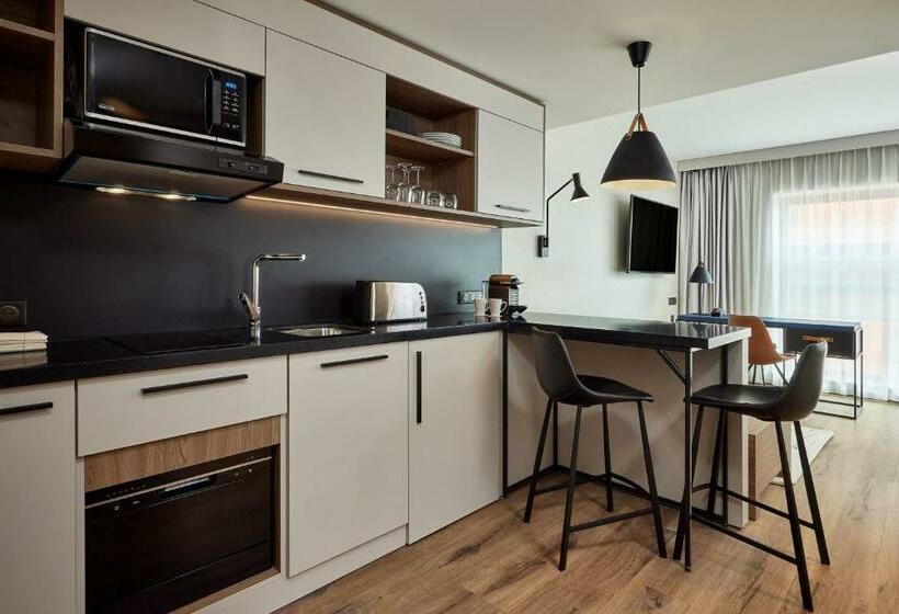 标准工作室, Residence Inn By Marriott Strasbourg