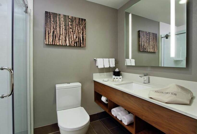 اتاق استاندارد با 2 تخت دوبل, Hilton Garden Inn New York/midtown Park Ave