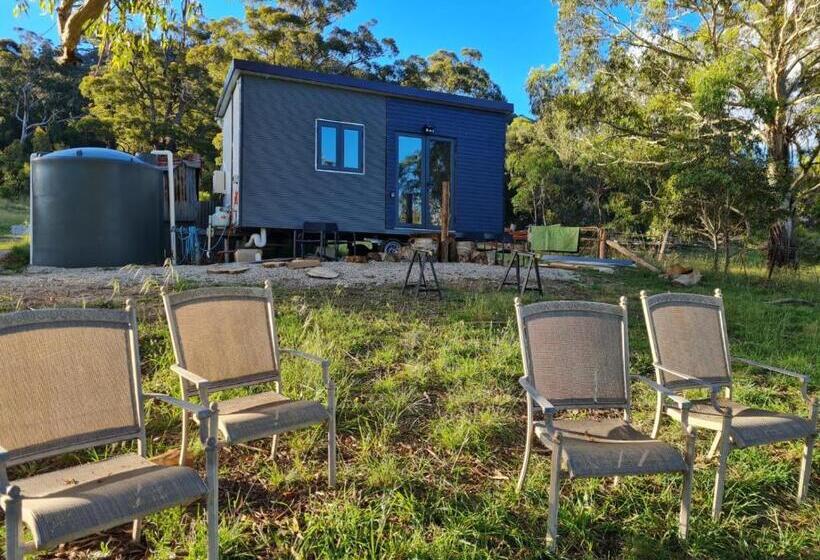 Четырехместный Номер Стандарт, Tiny Home   Bluebird