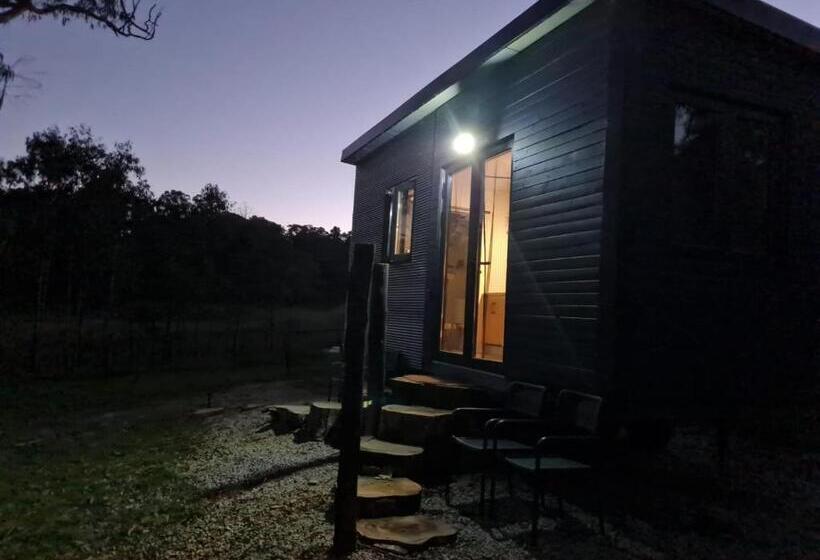 Четырехместный Номер Стандарт, Tiny Home   Bluebird