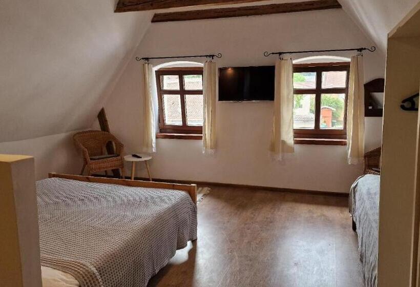 Семейный Номер, Studio Rasnov Apartaments