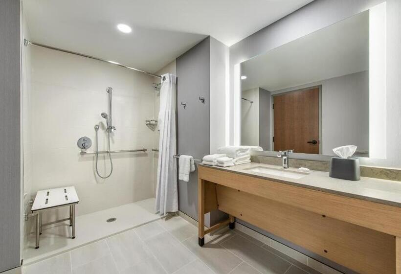 장애인을 위한 킹사이즈 침대 스탠다드 룸, Hyatt Place Kent Narrows And Marina